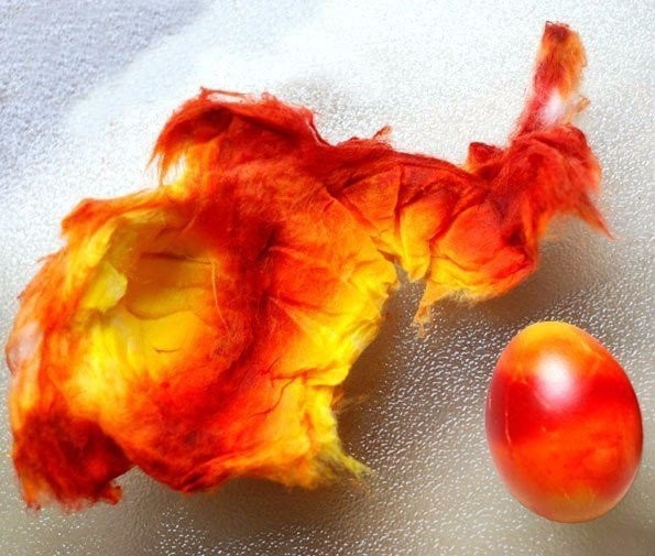 12957113_858518960944193_1321474849_n