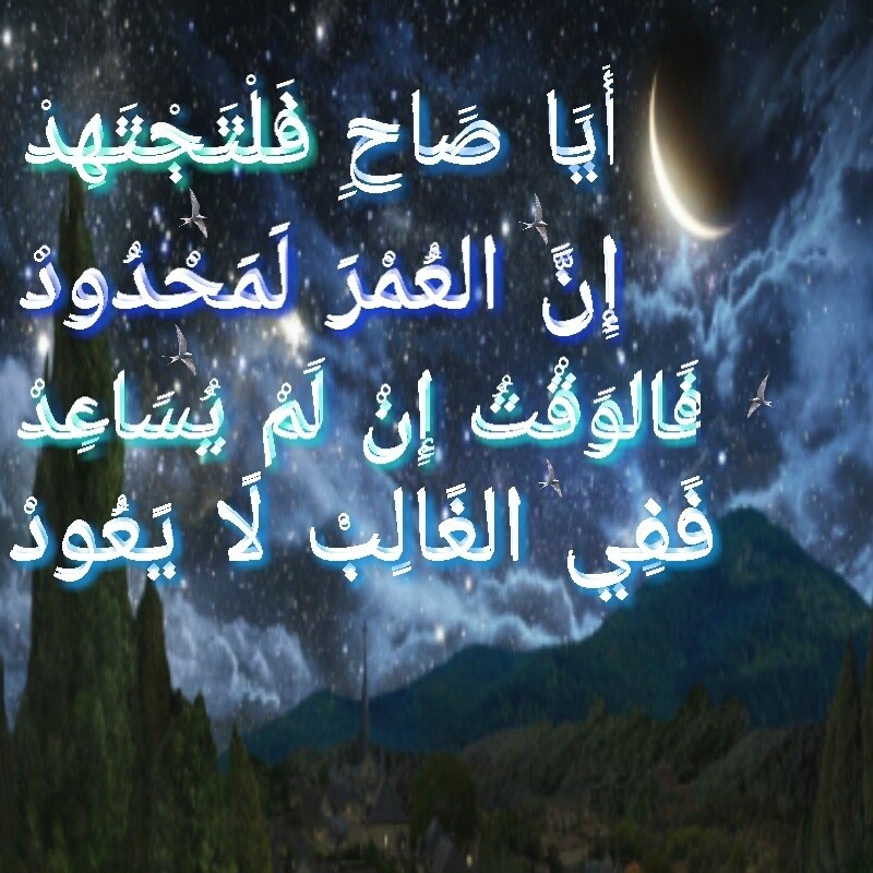 AThumbCut_١٦٠٤٠٧-٠٠٥٩٣٦